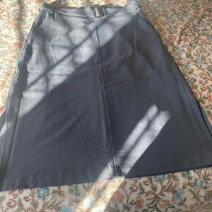 Banana Republic Charcoal A-Line Skirt